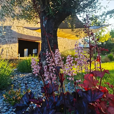 Hedoniste 2 - Bain Nordique Apartment Herpy-l'Arlesienne