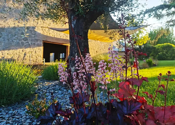 Hedoniste 2 - Bain Nordique Apartment Herpy-l'Arlesienne