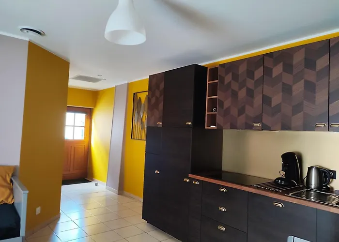 Apartment Hedoniste 2 - Bain Nordique *